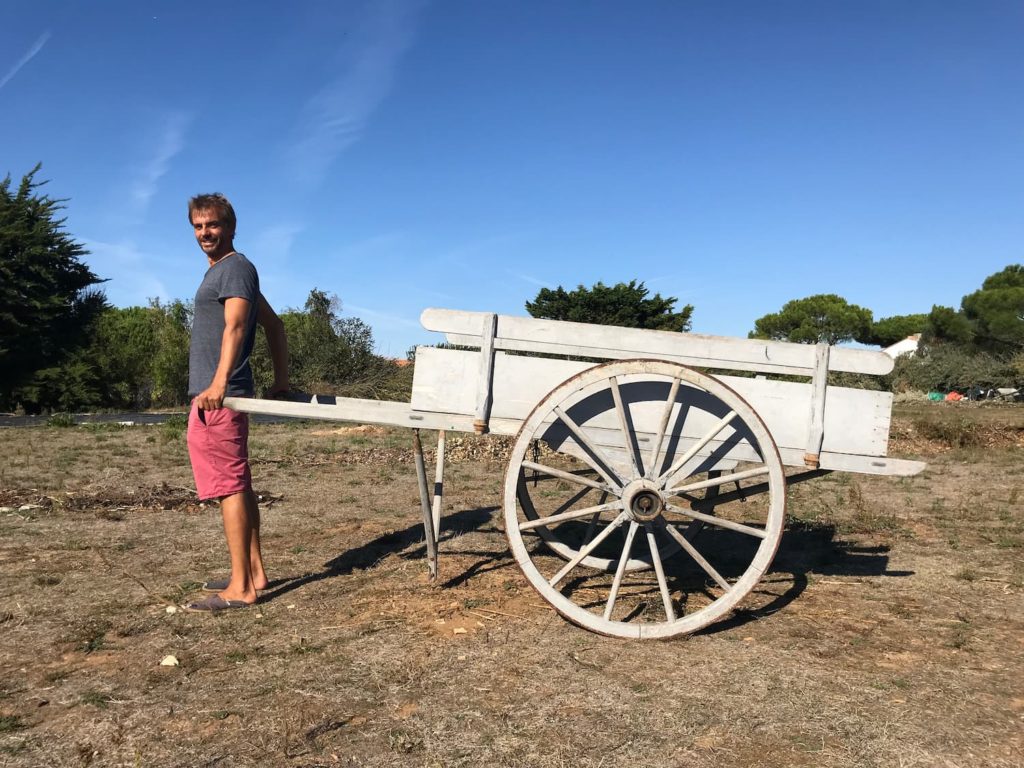 Reconversion professionnelle dans la permaculture