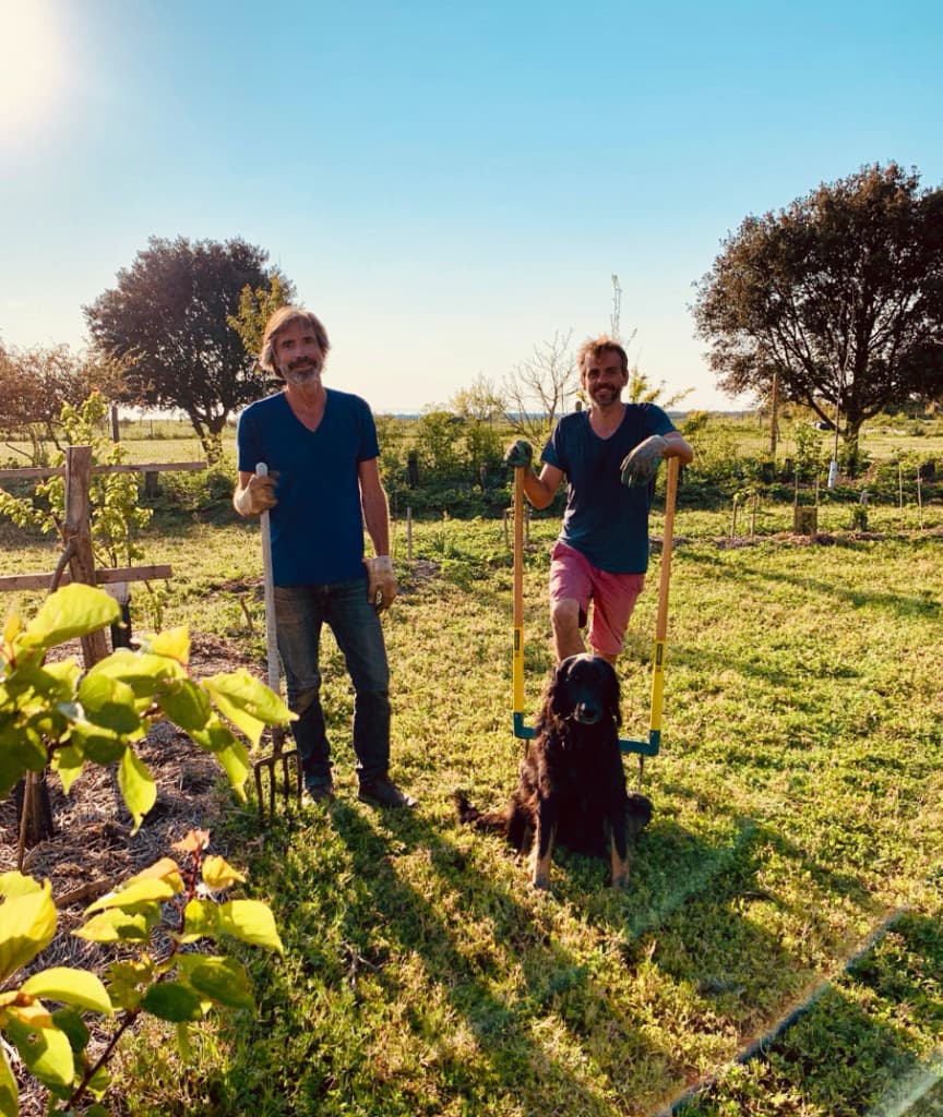 Xavier Mounier cultive un champ en permaculture sur l'île de Ré